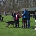 comp_IMGP7555