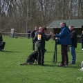 comp_IMGP7559