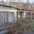 ib_p023_0_55