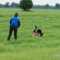comp_IMGP0323