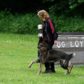 comp_IMGP0782