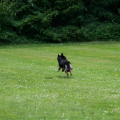 comp_IMGP0817