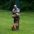 comp_IMGP0898