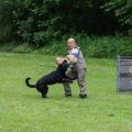 comp_IMGP1061
