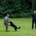 comp_IMGP1064