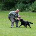 comp_IMGP1089