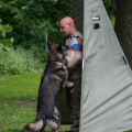 comp_IMGP1125