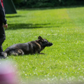 comp_IMGP1130