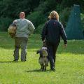 comp_IMGP1143