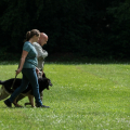 comp_IMGP1235