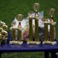 comp_imgp5200