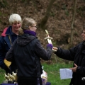 comp_imgp5222