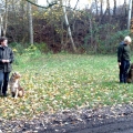 ib_p010_1_38