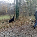 ib_p010_1_57