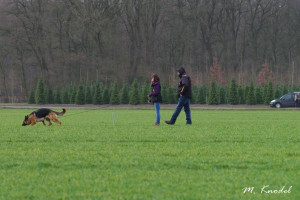 15. März 2014: Frühjahrsprüfung