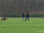 15. März 2014: Frühjahrsprüfung
