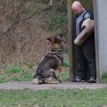 bild_21