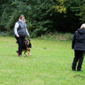 comp_IMGP3329