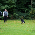 comp_IMGP3336