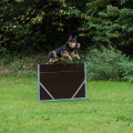 comp_IMGP3354