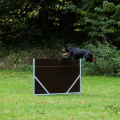 comp_IMGP3404