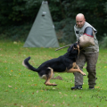 comp_IMGP3570