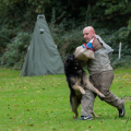 comp_IMGP3714