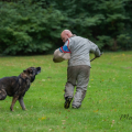 comp_IMGP3751