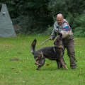 comp_IMGP3766