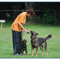 ib_p044_0_101