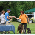 ib_p044_0_105