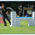 ib_p044_0_51
