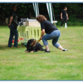 ib_p044_0_77