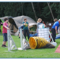 ib_p044_0_85