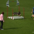 comp_IMGP3889