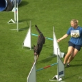 comp_IMGP3893