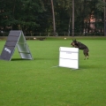 comp_IMGP3928