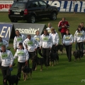 comp_IMGP4083
