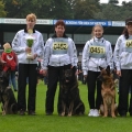 comp_IMGP4274