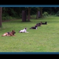bild014