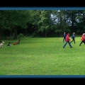 bild024