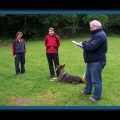 bild038