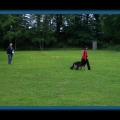 bild040