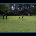 bild043