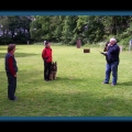 bild045