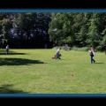 bild051