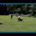 bild052