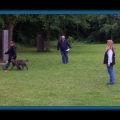 bild063