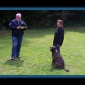 bild066