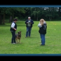 bild070